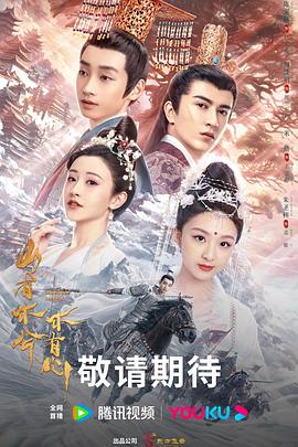 西湖优化网站哪家好